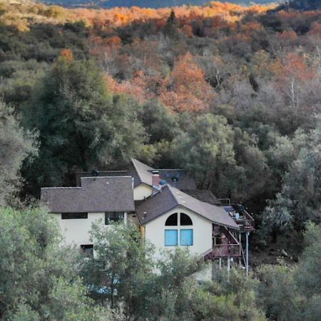 スリー・リバーズ Sequoia South Fork Retreatヴィラ エクステリア 写真