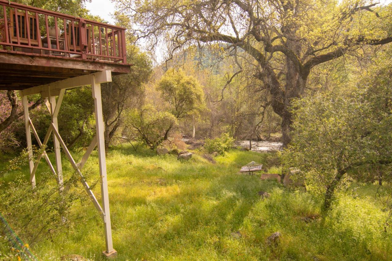 スリー・リバーズ Sequoia South Fork Retreatヴィラ エクステリア 写真