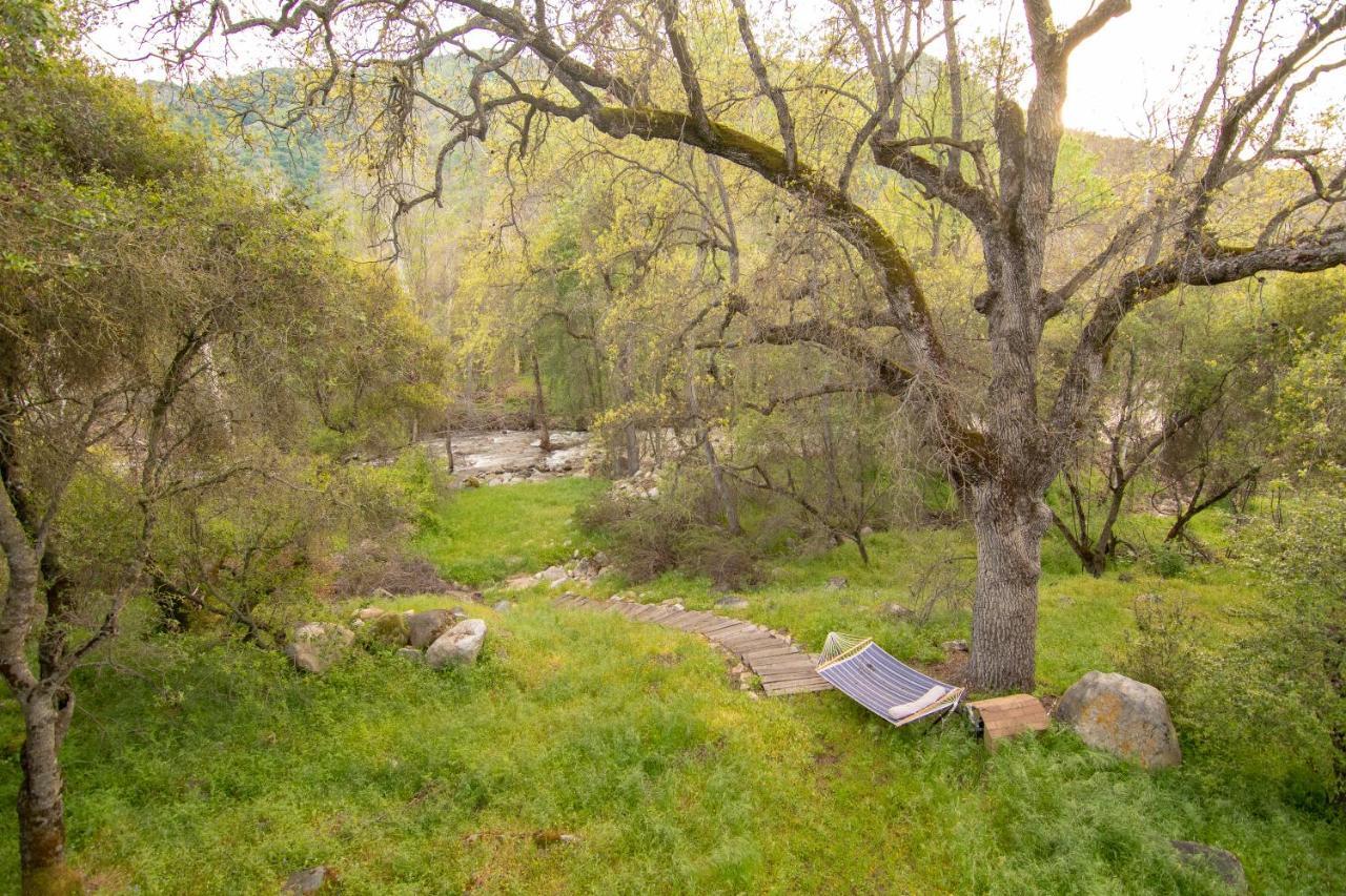 スリー・リバーズ Sequoia South Fork Retreatヴィラ エクステリア 写真